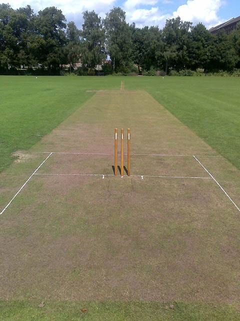 Cricket Pitch Patent