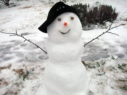 Hey Funny Guy, Made of Flakes from the Sky!
