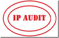 Audit for IP Systems to Derive Business Value