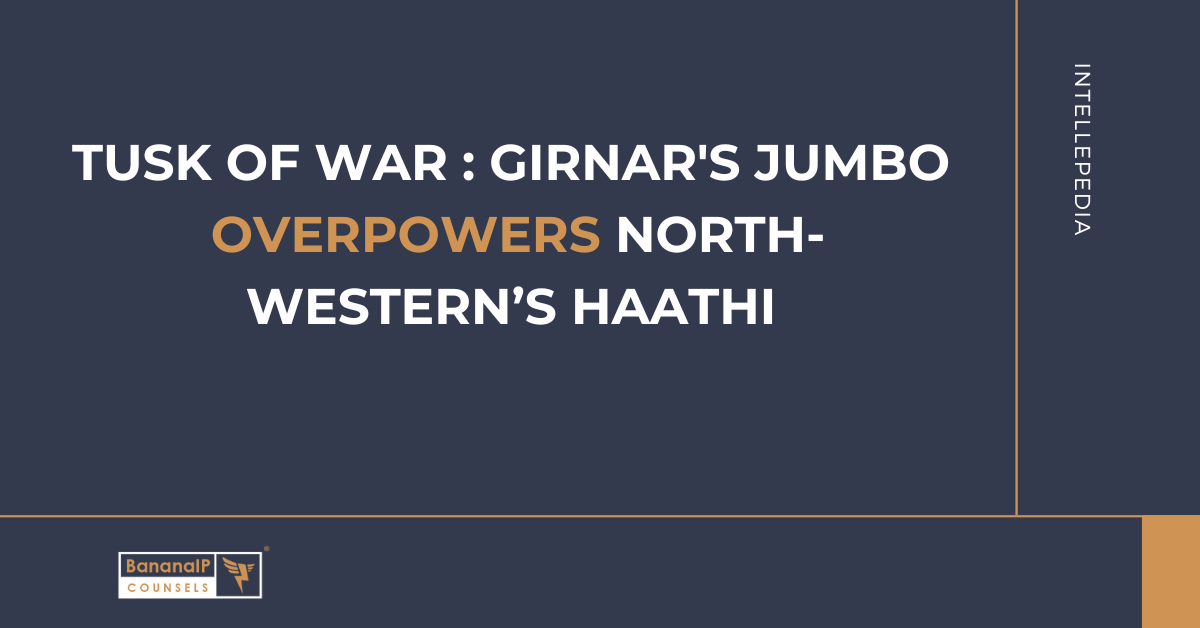 Tusk of War : Girnar’s Jumbo Overpowers North-Western’s Haathi