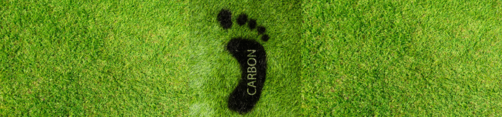 A dark carbon footprint symbol is imprinted on a vibrant green grass background, representing the capture of carbon by nature.