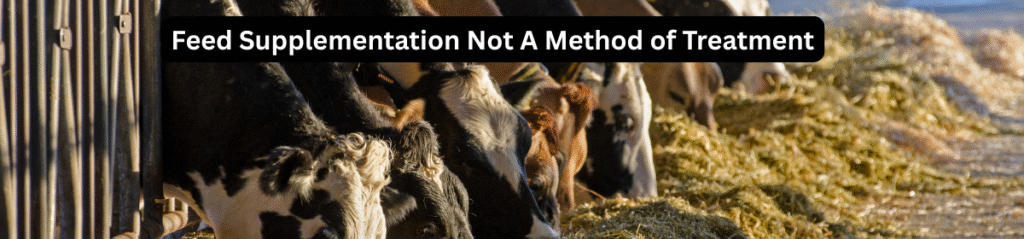 Cows feeding on hay in a livestock enclosure with an overlaid banner text that reads "Feed Supplementation Not A Method of Treatment".