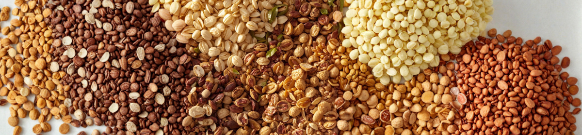 Assorted edible seeds and grains arranged in neat sections