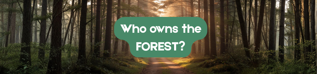 Banner image of a dense forest with sunlight filtering through tall trees and a path running through it, featuring the text “Who owns the FOREST?” in a green label.