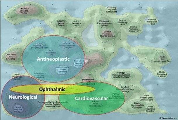 This image depicts the available areas for SMEs with regard to IP. The major areas are Cardiovascular, Antinoplastic and Neurological. The remaining form the grey areas for SMEs. Click on the image to read the full post.