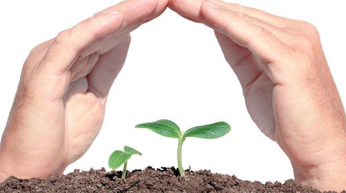This Image depicts a seedling is being protected by two hands on it This Image is relevant as the article deals with the Copyrights and protection of ideas. Click on this Image for more Information.