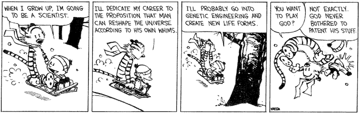 The image depicts Calvin and Hobbes comic strip by Bill Watterson. Click on the image for full description.
