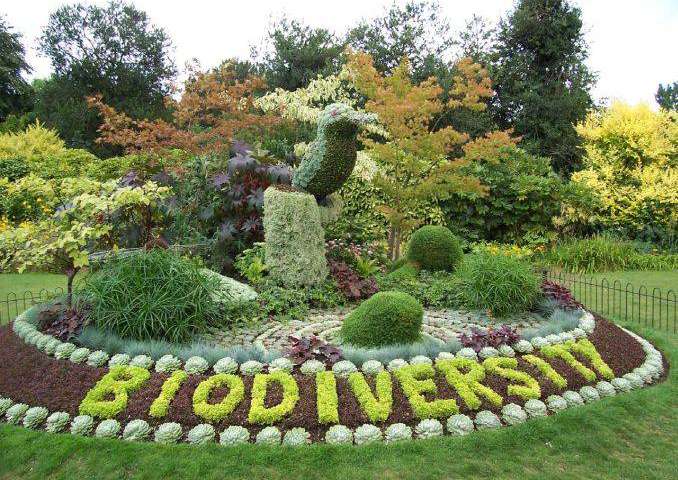 Featured Image is of a Biodiversity day celebration in a British Garden, and this is directly related to the topic being discussed in the post i.e. Biodiversity