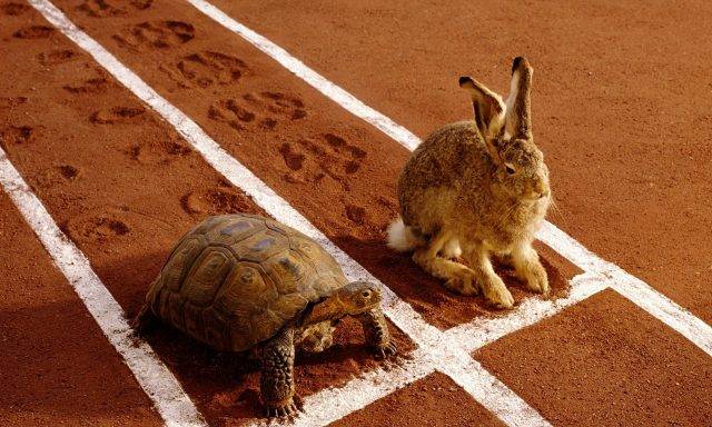The featured image shows a hare and a tortoise. This image was used as a teaching aid in the "strategic inventor program', a unique seminar on patents.