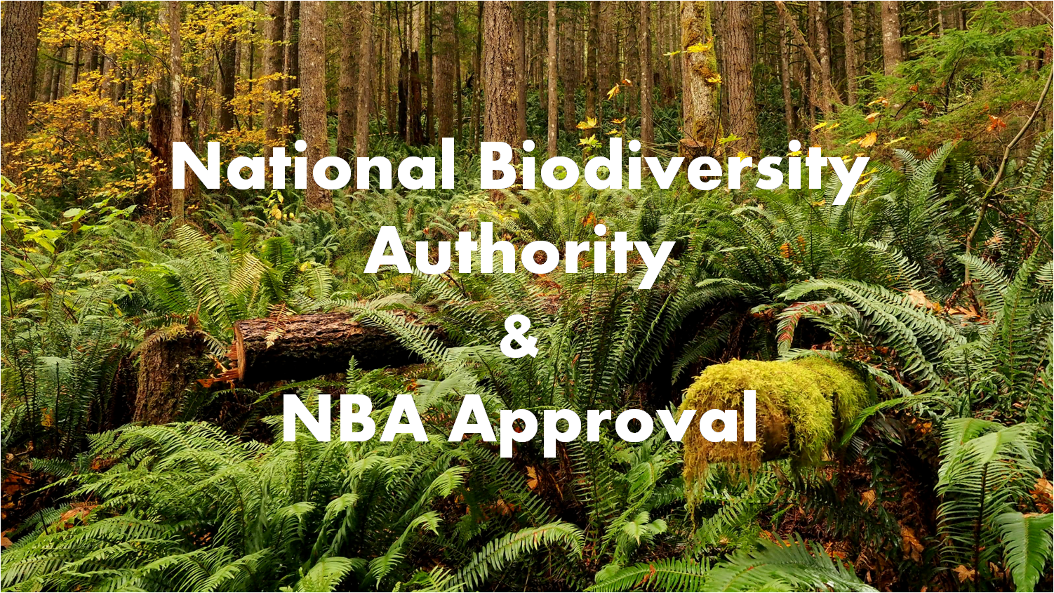 National Biodiversity Authority