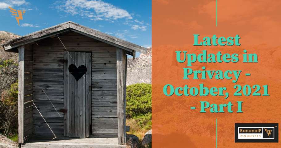 Latest Updates on Privacy - October, 2021 - Part I