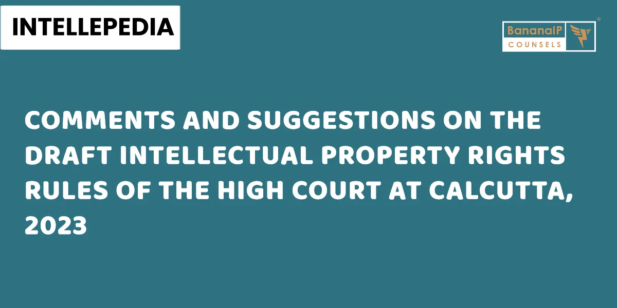 Comments and Suggestions on the Draft Intellectual Property Rights Rules
