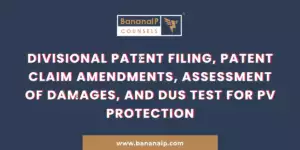 Divisional Patent Filing, Patent Claim Amendments, Assessment of Damages, and DUS test for PV Protection