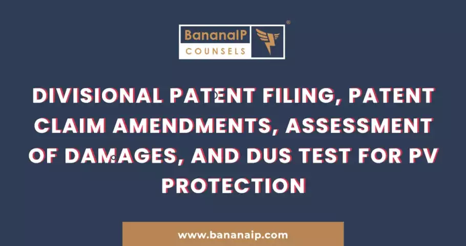 Divisional Patent Filing, Patent Claim Amendments, Assessment of Damages, and DUS test for PV Protection