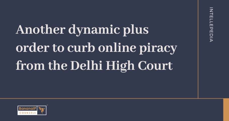 Image accompanying blogpost on "Another dynamic plus order to curb online piracy from the Delhi High Court"