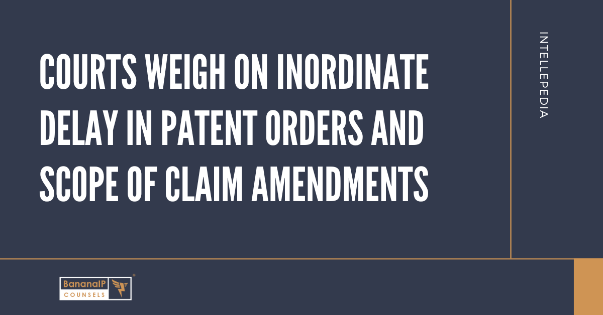 Courts Weigh on Inordinate Delay in Patent Orders and Scope of Claim Amendments